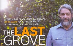 The Last Citrus grower in a now suberban area